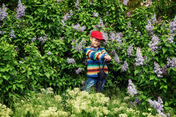 Cute boy in spring garden with blooming lilac . Children's walks in the fresh air