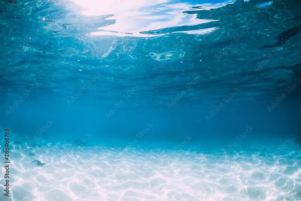 Tropical blue ocean with white sand underwater in Hawaii - obrazy, fototapety, plakaty 