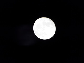 full moon in the sky