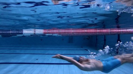 Wall Mural - Man in swimming pool underwater view.