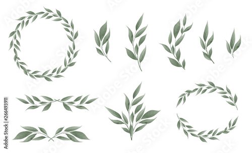designer elements set collection of greeng leaves herbs