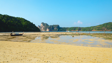 Wall Mural - paesaggio tailandia bassa marea