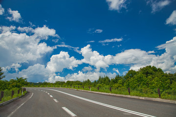 Wall Mural - 道路と青空と雲