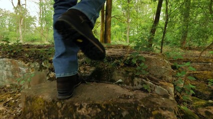 Wall Mural - Man walking up steps from a ruined house in the woods.