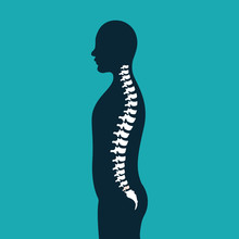 Art Illustration: A Spine Isolated With A Human Silhouette.