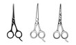 © Denys Holovatiuk - Vector Barber scissors isolated on white background. Hair scissors icons in 3 other styles.