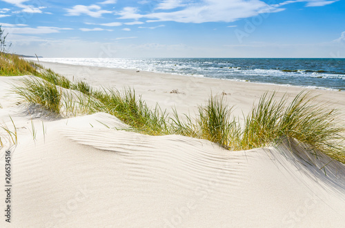 Obraz plaża   pusta-dzika-plaza-kolo-mrzezyna-nad-baltykiem-w-polsce