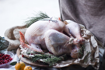 fresh duck ready for baking on white porcelan plate