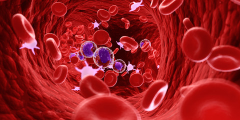 Wall Mural - 3d rendered medically accurate illustration of the human blood cells and lymphocytes