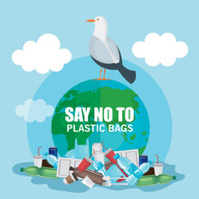 plastics waste pollution and dove bird