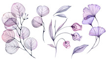 Transparent Watercolor Floral Set Bundle Of Roses, Bellflower, Buds, Leaves, Branches In Pastel Pink, Grey, Blue, Violet, Purple Color Vintage Ornament, X-ray, Wedding Design, Stationery Print, Frame 