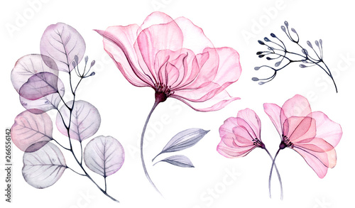Transparent watercolor floral set bundle of roses, bellflower, buds, leaves, ...