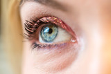 Fototapeta  - Female blue eye with beautiful make-up, close up