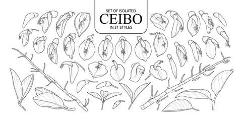 Set of isolated Ceibo in 31 styles.