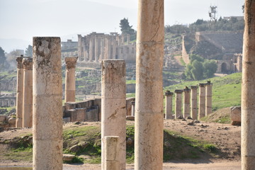 Wall Mural - Temple of Artemis Foreground with Temple of Zeus and South Theatre Background 3, Jerash, Jordan