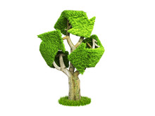 Volumetric Green Grass Coated Recycling Sign As Tree 3d Render On White No Shadow