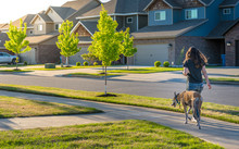 Young Woman Walking Dog In Modern Residential Houses Neighborhood Street In Bentonville, Northwest Arkansas, Sunny Flare Day, Fast Growing City  Lifestyle