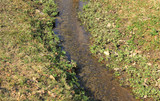 Fototapeta Sawanna - Small creek landscape with moat and water flowing at the park 
