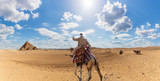 Fototapeta Kosmos - A bedouin on a camel in the desert near the Pyramids of Giza, Egypt
