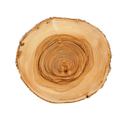 Wall Mural - smooth wood slice cut from the woods. neutral brown sustainable tree rings made of hardwood.