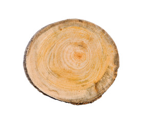 Wall Mural - smooth wood slice cut from the woods. neutral brown sustainable tree rings made of hardwood.
