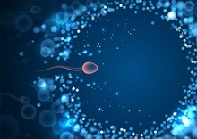 Natural Fertilization. Sperm And Egg Vector Illustration. Reproductive Medicine Health Care Pregnancy Background Template