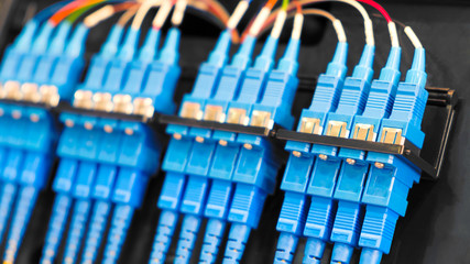 Poster - Closeup of  colored computer network cables  connected to a  switch