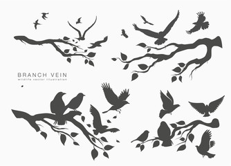 figure flock of flying birds on tree branch
