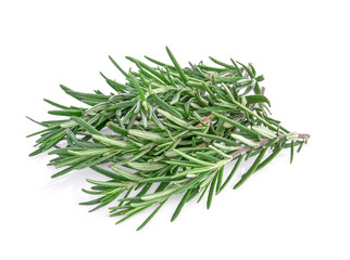 Rosemary isolated on white background