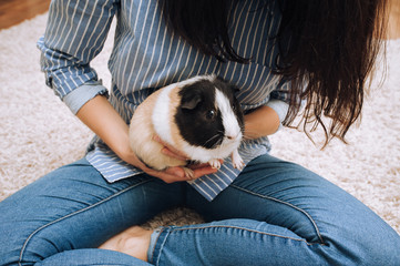 The host girl holds a guinea pig with a large mustache in her arms in the lotus position. Favorite pet sits at the girl. Poster, game, lifestyle.