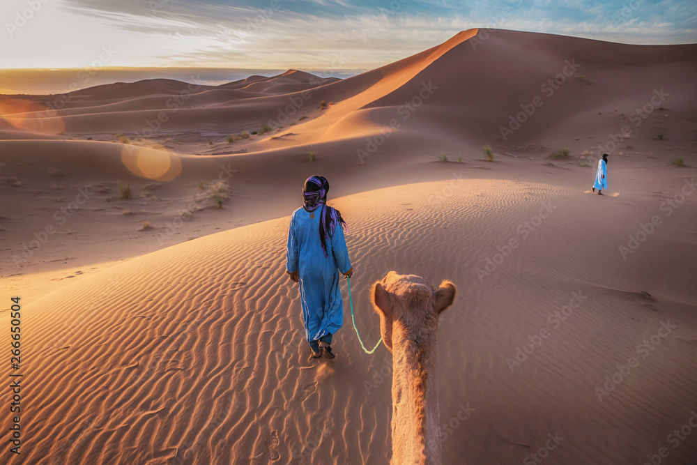 Two Tuareg nomads dressed in traditional long blue robes, lead a camel through the dunes of the Sahara Desert at sunrise in Morocco. - obrazy, fototapety, plakaty 