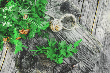 Wall Mural - Fresh green parsley on a wooden table, cut in the city garden. selective focus