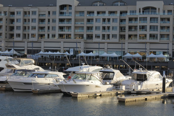 Wall Mural - Marina Pier in Glenelg Adelaide South Australia