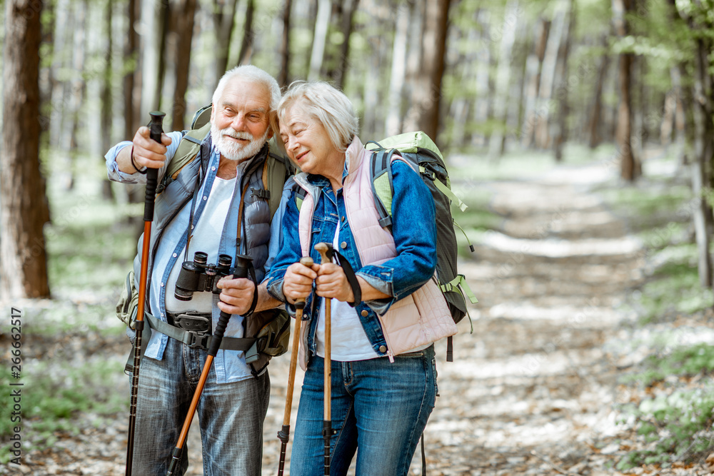 Beautiful senior couple hiking with backpacks and trekking sticks in the forest. Concept of active lifestyle on retirement - obrazy, fototapety, plakaty 