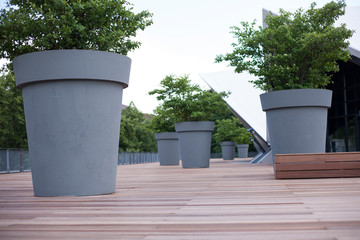 Gray giant flower pot with green plant