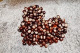 Fototapeta Do akwarium - Heart made of chestnuts - serce z kasztanów