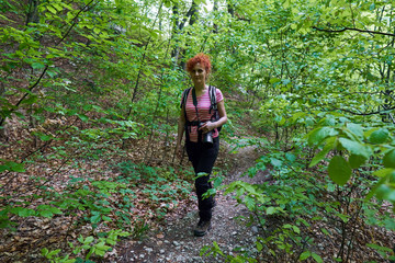 Wall Mural - Woman hiking in the forest