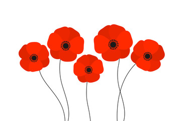 Wall Mural - red poppies flowers isolated on white background.