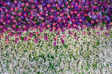 Wall Mural - The vertical garden with beautiful flowers in the park.