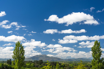 Wall Mural - View on the Rhune mountain with a blue sky and white small clouds. Arcangues, Basque country of France.
