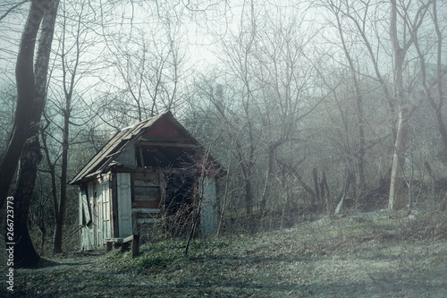 Old wooden hut ruins in foggy wood, spooky landscape Poster Mural XXL