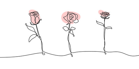 Wall Mural - One line drawing of rose continuous lineart set collections flowers flourish sketch minimalism