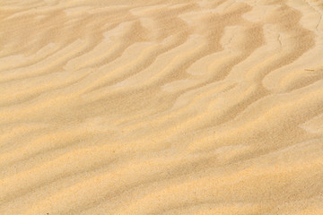  Sahara sand  background. Close up. Amazing wave pattern send dune near El Oued,  Algeria,  North Africa, Sahara
