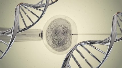 Poster - In Vitro Fertilization