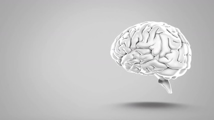 Poster - human brain