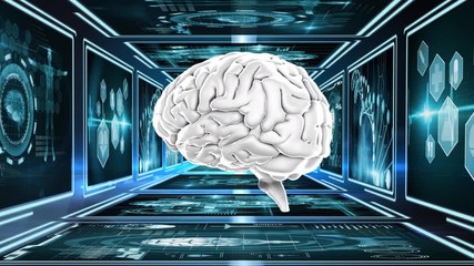 Poster - human brain