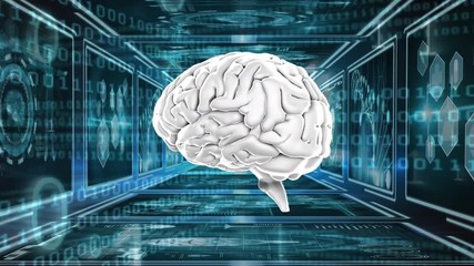Poster - human brain