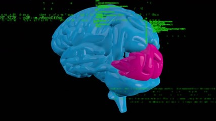 Poster - digital animation of a rotating brain