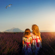 Zwei Kinder sind im Lavendelfeld