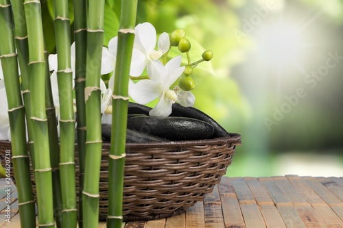 Bamboo. Canvas-taulu